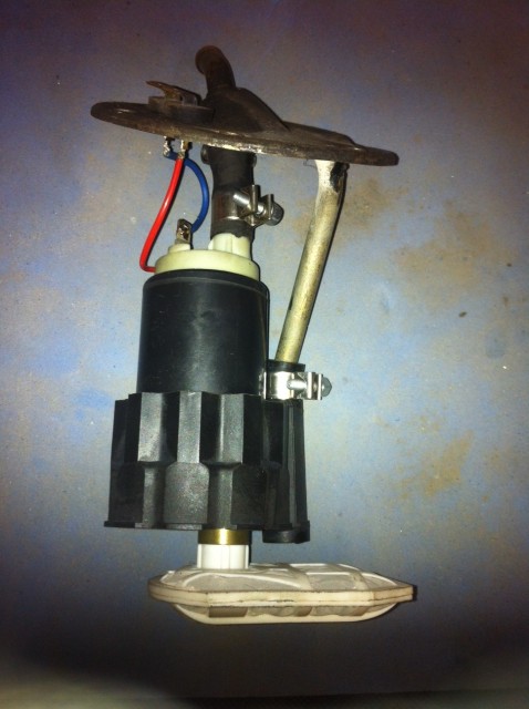 qqu7hf.jpg