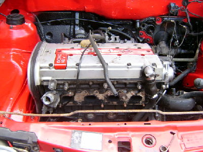 Kadett Moni 033.jpg
