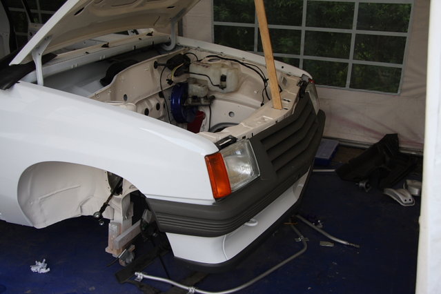 cors397.JPG (349.04 KiB) 51320 mal betrachtet Das Gesicht nimmt langsam Form an